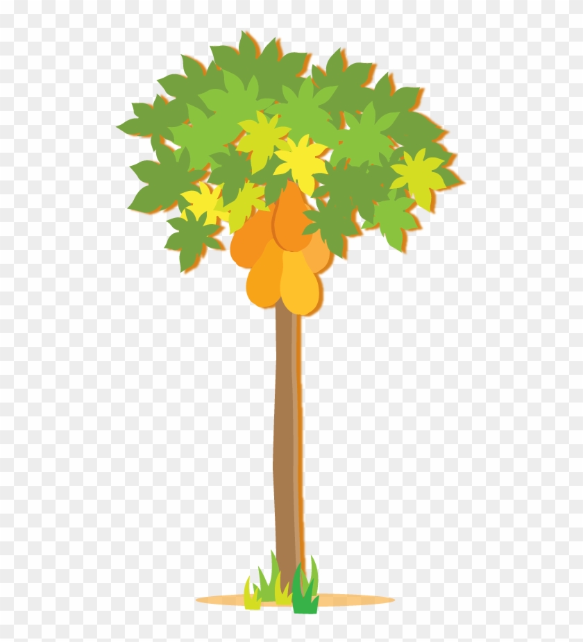 570 X 895 6 - 570 X 895 6 #1692696