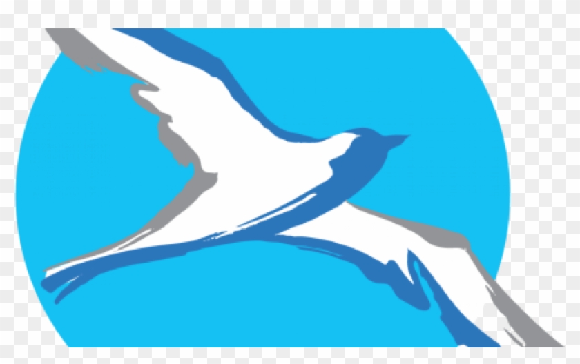 Second Meeting Of Advisory Committee For Cpef Wallacea - Burung Indonesia #1692931