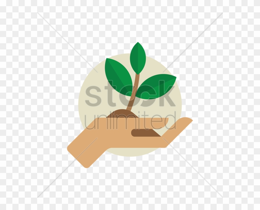 Hands Holding Plant Clipart Plants Clip Art - Plant In Hands Clipart #1693092