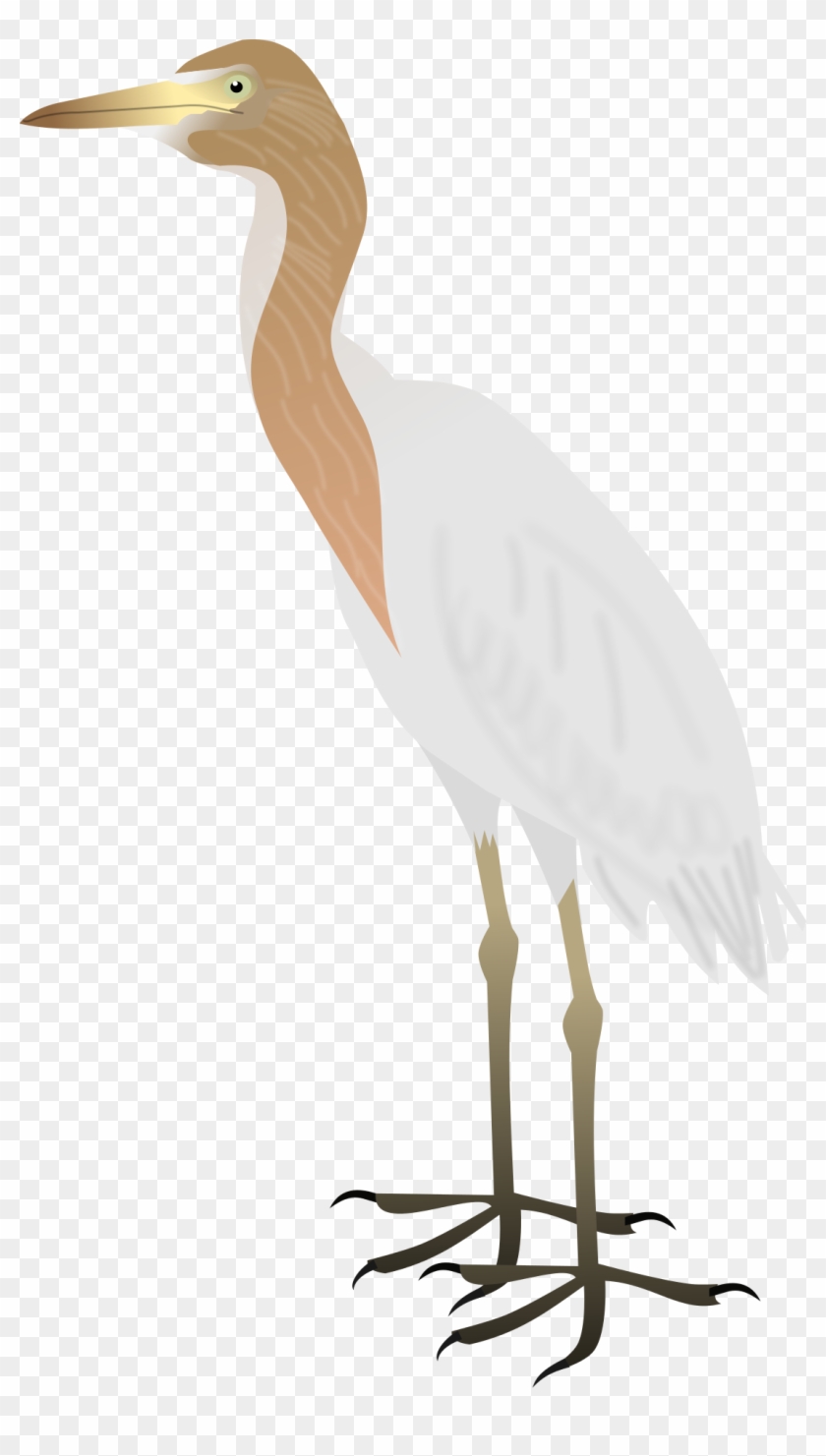 File - Cattle Egret - Svg - Cattle Egret Png Bird #1693219