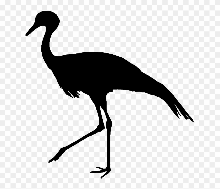 Crane Clipart Blue Crane - Blue Crane Bird Silhouette #1693231