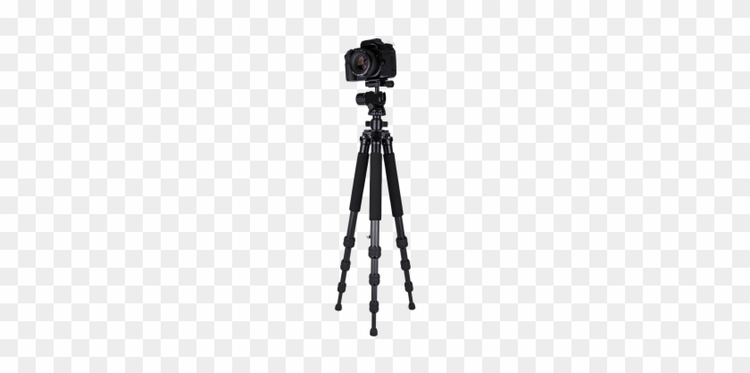 Camera Tripod - Camera On Tripod Transparent #1693332