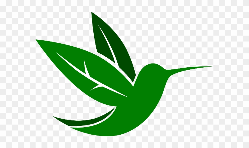 Activities - - Zipline Hammocks - Activities - - Zipline Hammocks #1693602