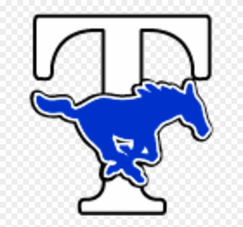 The Taylor Mustangs - Taylor High School Logo #1693649