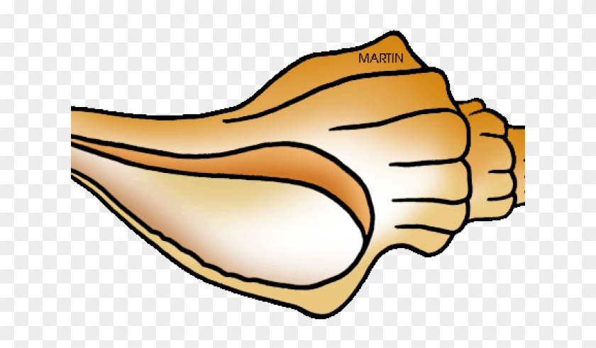 Shell Clipart Horse Conch - Shell Clipart Horse Conch #1693879