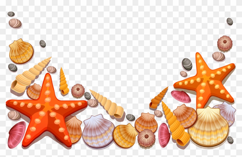 Sea Shells Vector Png #1693881