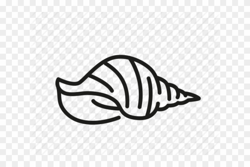 Drawn Shell Sea Creature - Drawing #1693897