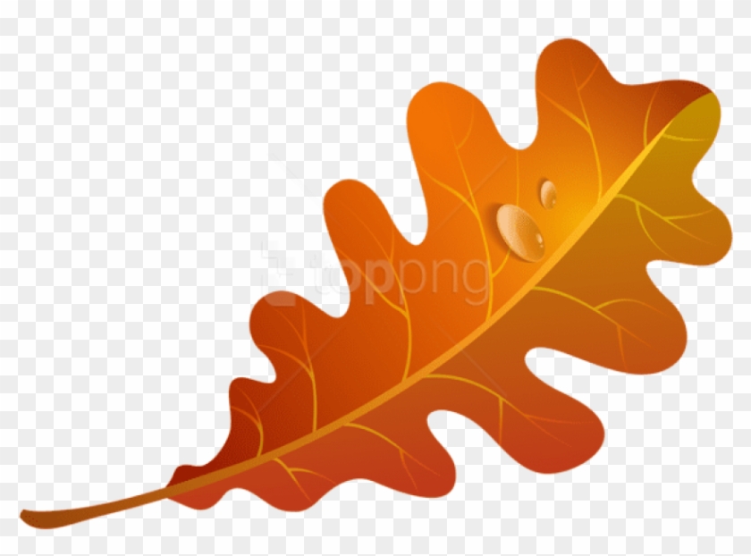 Free Png Download Fall Orange Leaf Clipart Png Photo - Orange Fall Leaf Clip Art #1693975