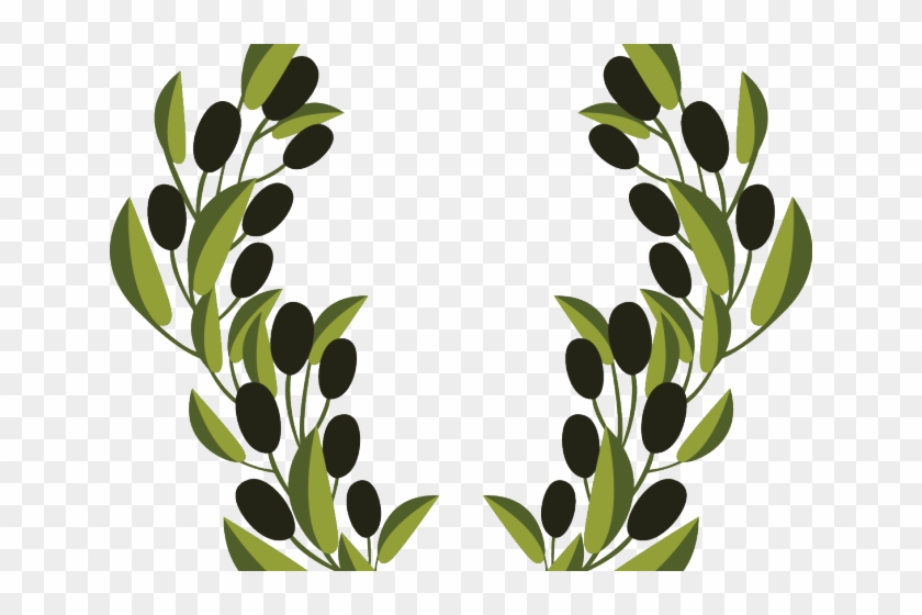 Olive Clipart Vector - Olive Branches Clip Art #1694079