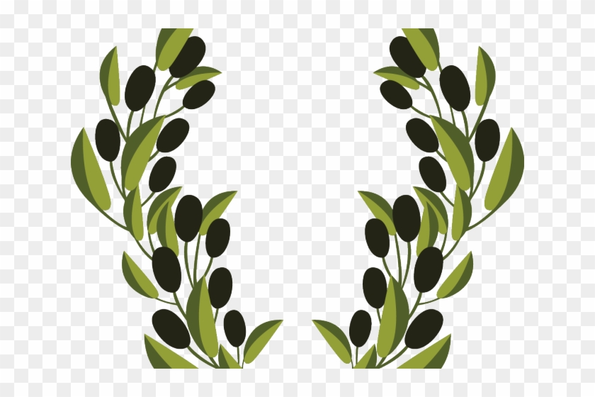 Olive Clipart Vector - Olive Branches Clip Art #1694079