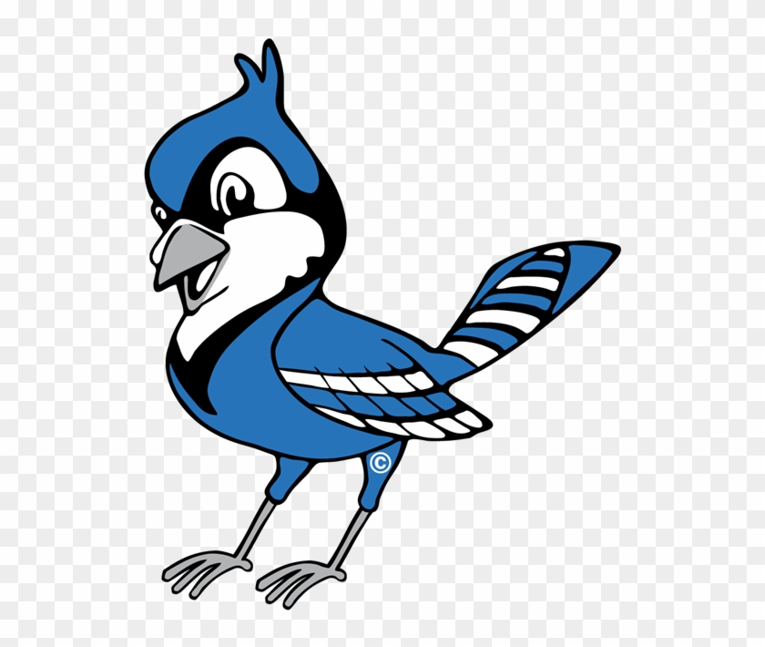 Blue Jay Logo - Jay #1694271