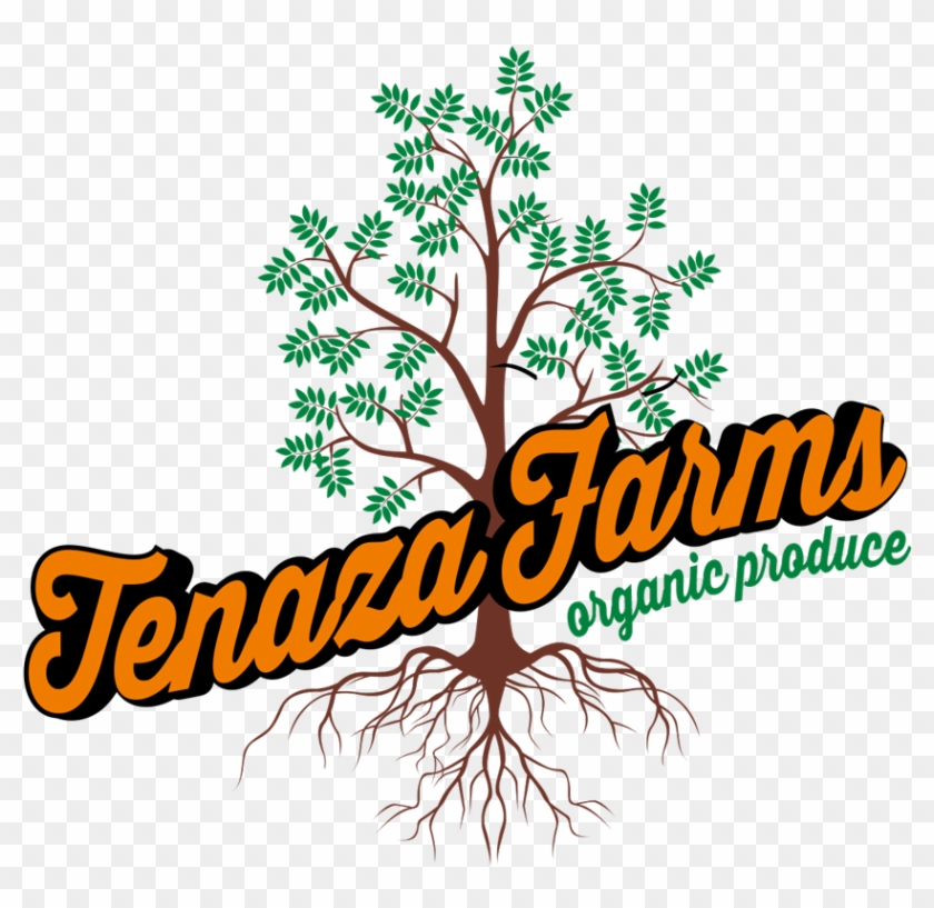 Tenaza Farms, South Texas Organic Vegetables, Rgv Certified - Calligraphy #1694306