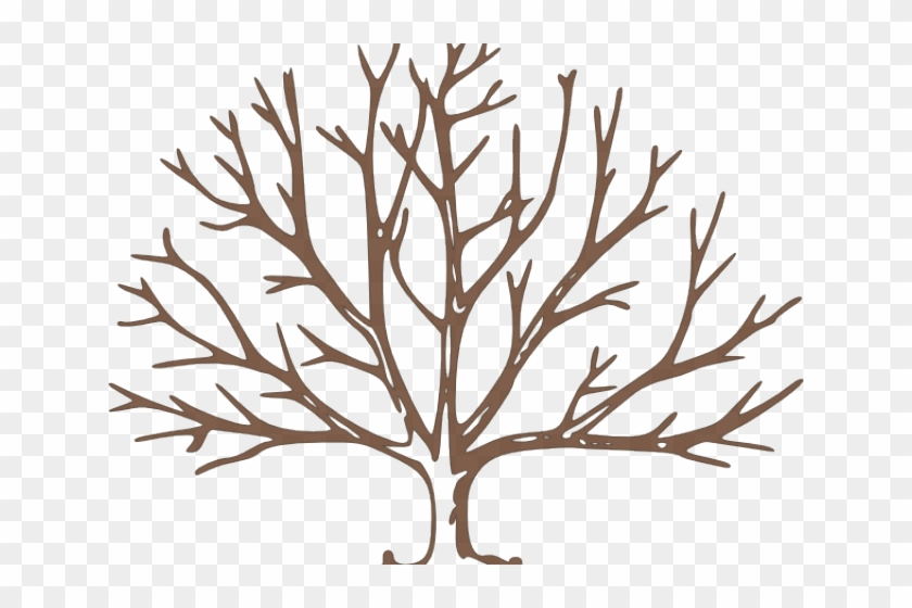 Bare Cliparts - Draw A Tree With Snow #1694362