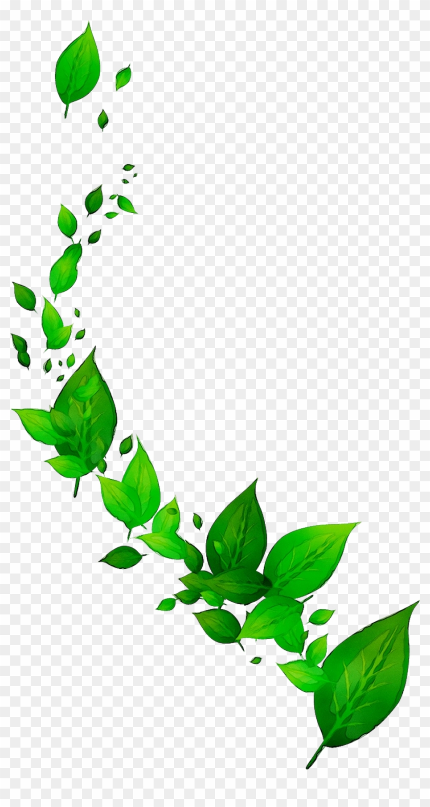 Tea Clipart Green Tea Drink - Tea Clipart Green Tea Drink #1694367