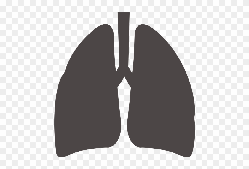 Feibu, Lungs, Medical Icon - Lungs Icon Png #1694706