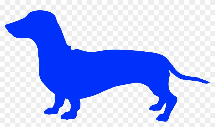 Companion Dog #1695068