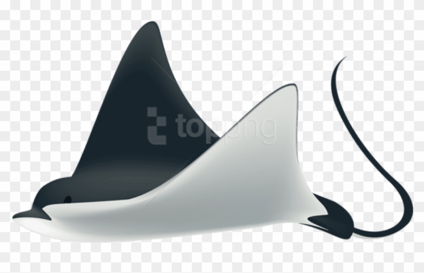 Free Png Download Ray Fish Clipart Png Photo Png Images - Dolphin #1695177