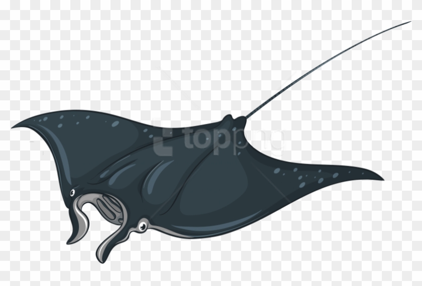 Download Skate Fish Clipart Png Photo - Manta Ray Transparent Background #1695198