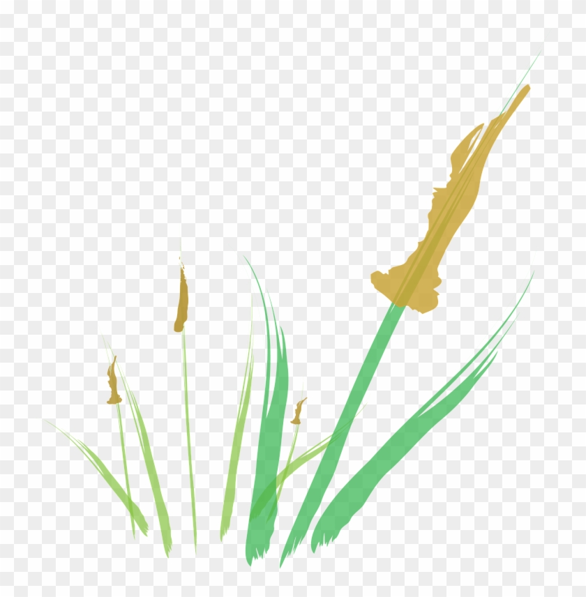 Cattail Abstract Digital Illustration - Illustration #1695353