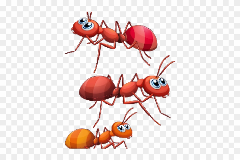 Ants Clipart Little Red - Ants Cartoon Png #1695430