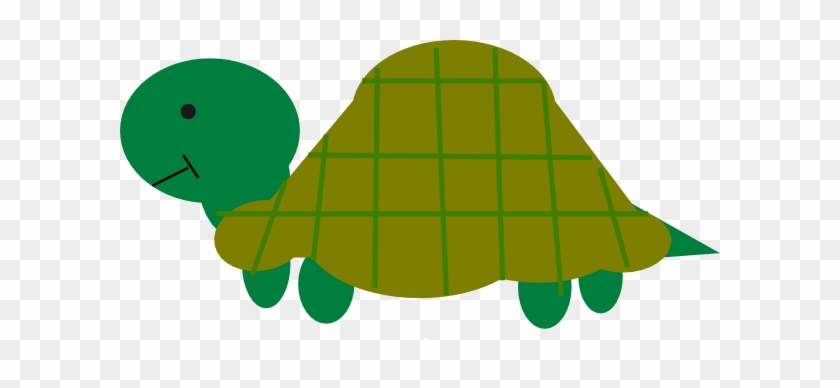 Tortoise #1695448