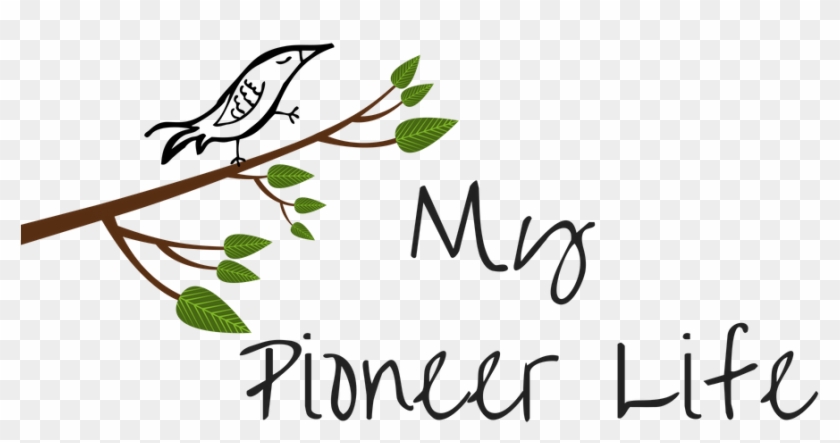 My Pioneer Life - My Pioneer Life #1695466
