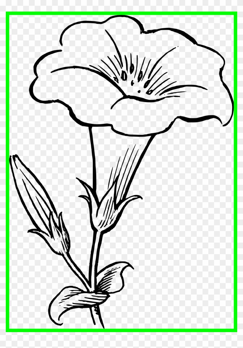 Lily Pad Flower Image Free Library Black And White - Lily Flower Clipart Black And White #1695610