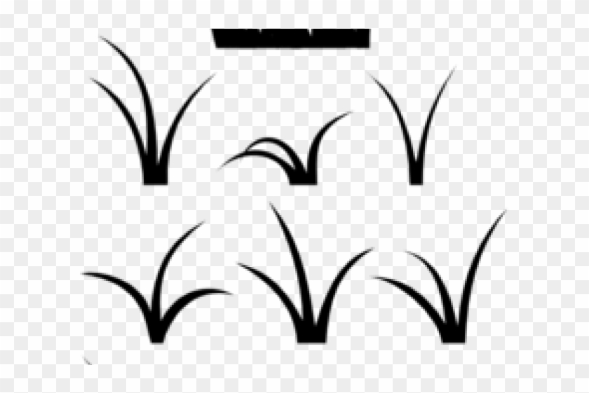 Original - Patch Of Grass Vector #1695633