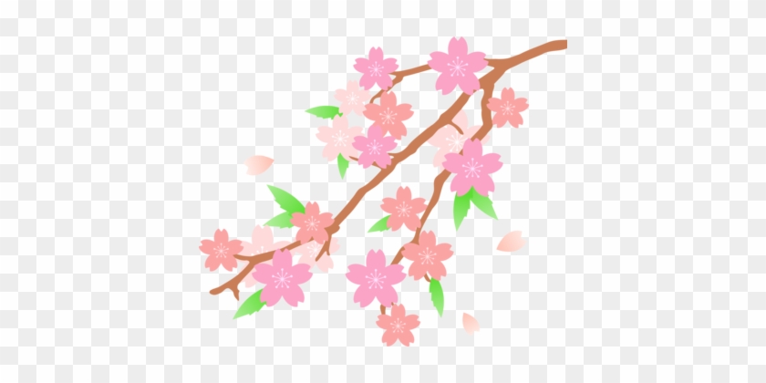 Cherry Japan Flower Free - Cherry Blossom Flower Drawing #1695826