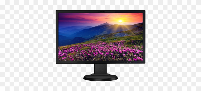 Pxl2471mw 24 Lcd Monitor Planar - Tv For Sale Sri Lanka Under 15000 Rs #1695870