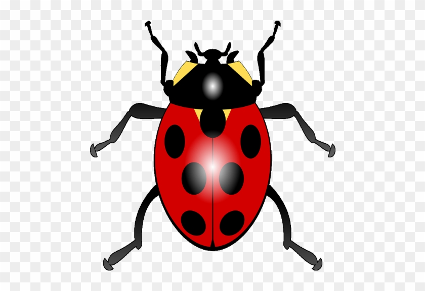What Other Items Do Customers Buy After Viewing This - Ladybird Clipart #1696030