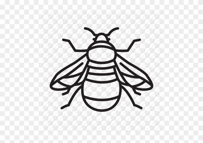 Drawn Bumblebee Killer Bee - Bee Drawing Simple Transparent #1696038
