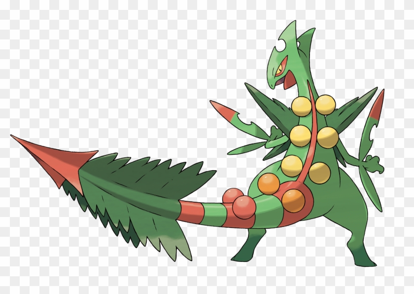 Click Any Of The Images Below To See A Larger Version - Pokemon Sceptile #1696050
