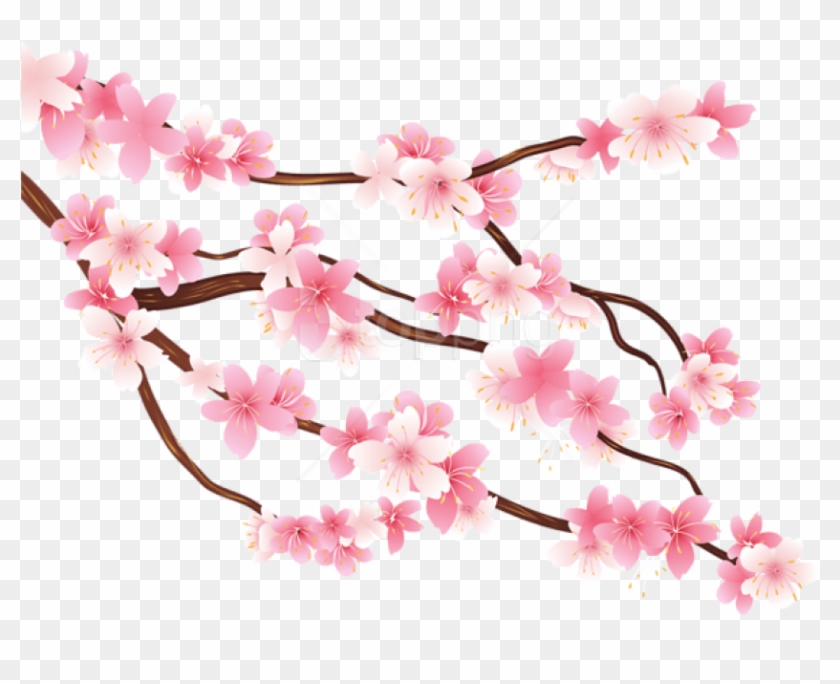 Free Png Download Pink Spring Branch Png Images Background - Transparent Cherry Blossom Png #1696249