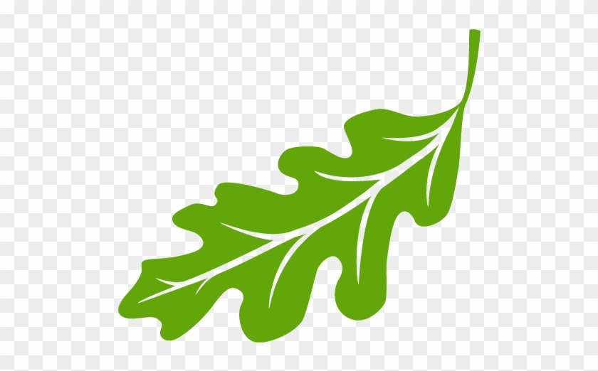 Leaf Logo 512×512 - Leaf Logo 512×512 #1696415
