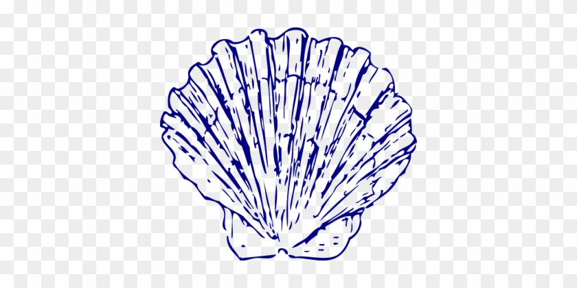 Shell, Fan, Sea, Blue, Shell, Shell - Blue Sea Shell Clip Art #1696643