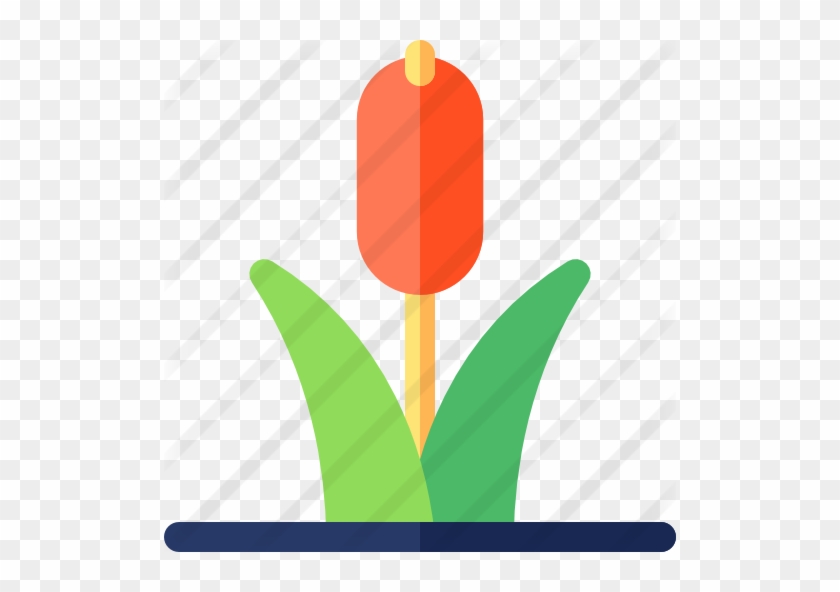Cattail Free Icon - Cattail Free Icon #1696910