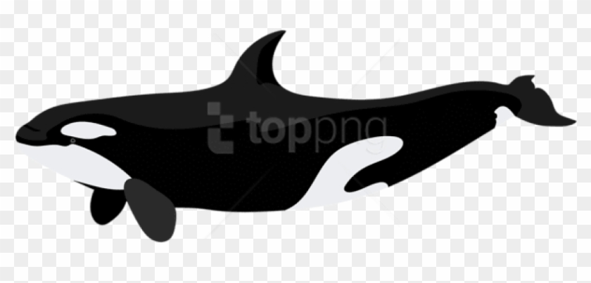 Free Png Download Orca Clipart Png Photo Png Images - Orca Clipart Png #1696991