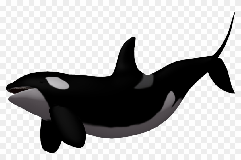 Killer Whale Clipart Baby - Killer Whale Transparent Background #1696994