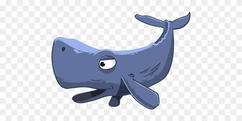 Sperm Whale, Kit, Floaters, Cartoon - Cartoon Whale Mouth Open #1696996