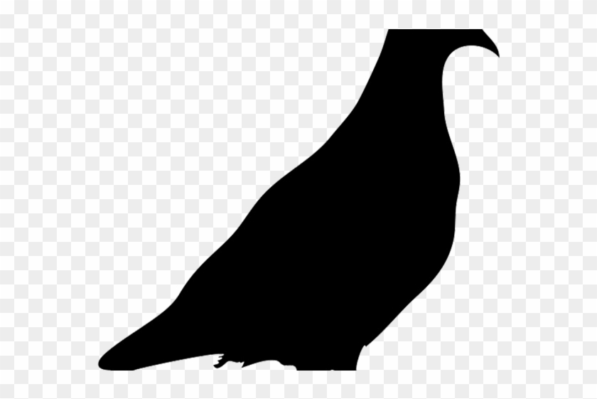 Pigeon Clipart Majestic Bird - Quail #1697157