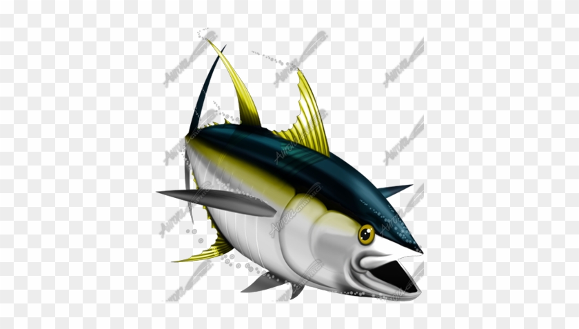 Yellowfin Tuna Drawing Wwwpixsharkcom Images - Yellow Fin Tuna Svg #1697315