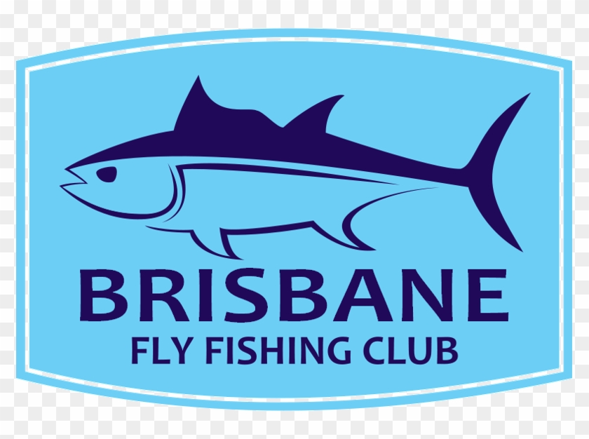 Brisbane Fly Fishing Club Inc - Great White Shark #1697323