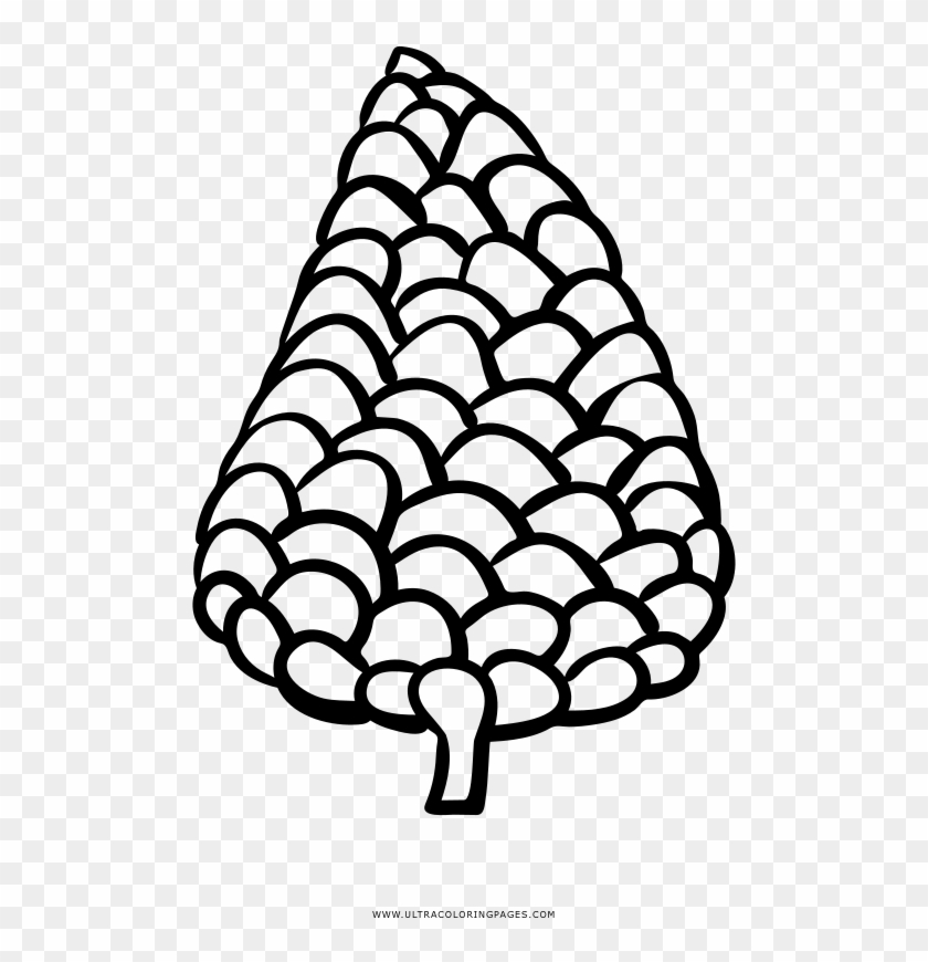 Pine Cone Coloring Page - Line Art #1697573