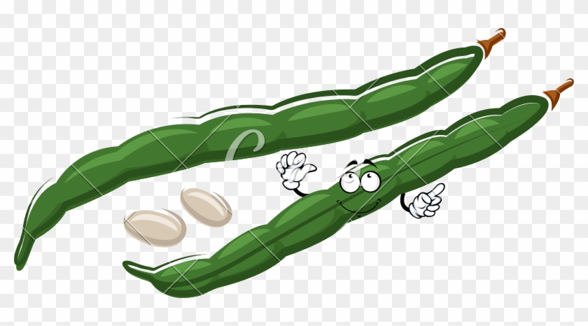 800 X 386 1 - Green Bean #1698104