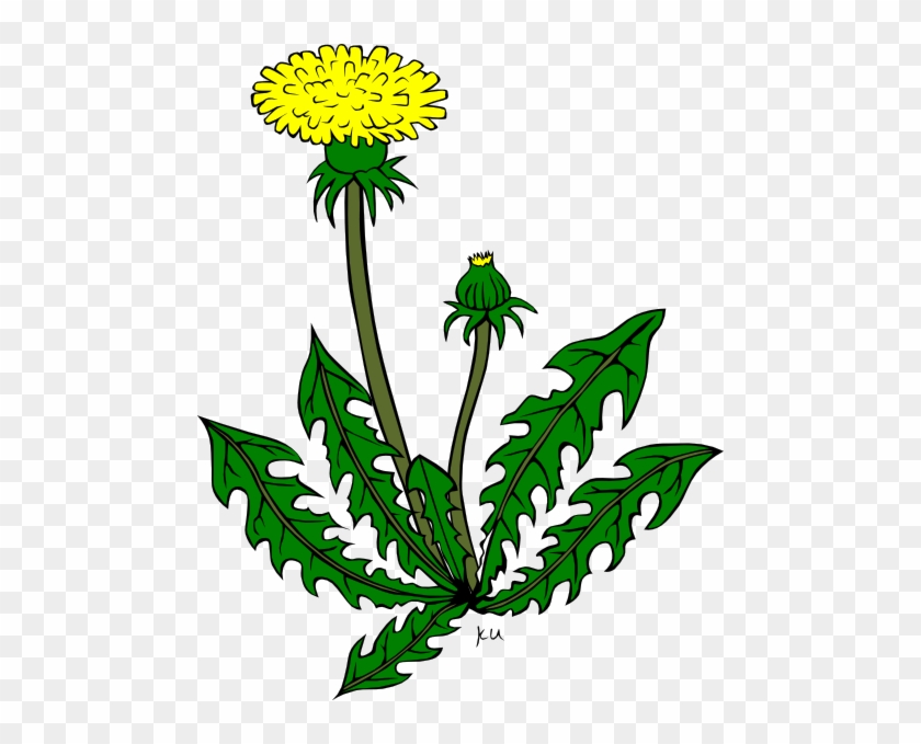 Dandelion Clip Art #1698615