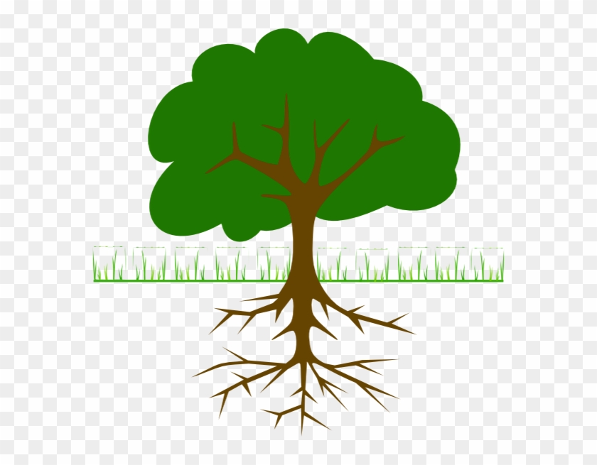 Innovation Clipart Brain Game - Tree Clipart With Roots #1698654