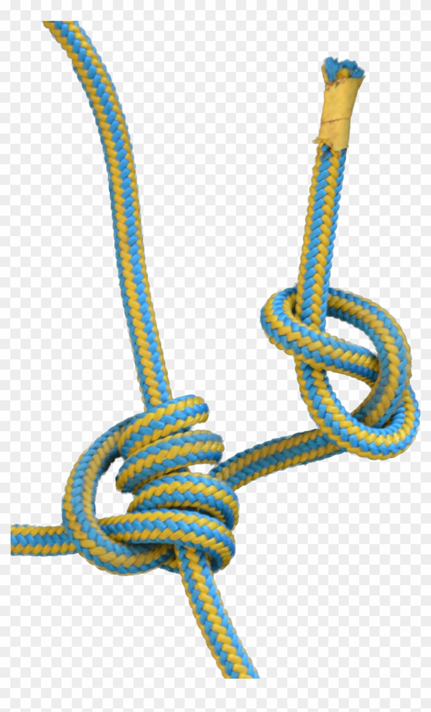 To Pull Yourself Up A Rope, It Is Extremely Helpful - Blake's Hitch Tree Climbing #1698844
