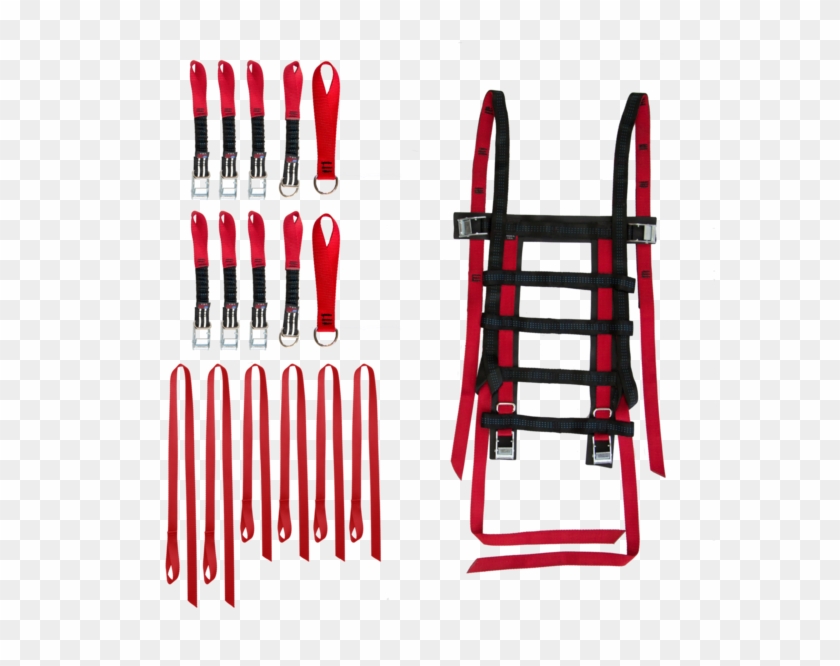 Chili Pepper #1698850