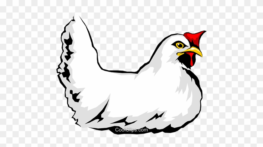 Chicken Royalty Free Vector Clip Art Illustration - Rooster #1699004